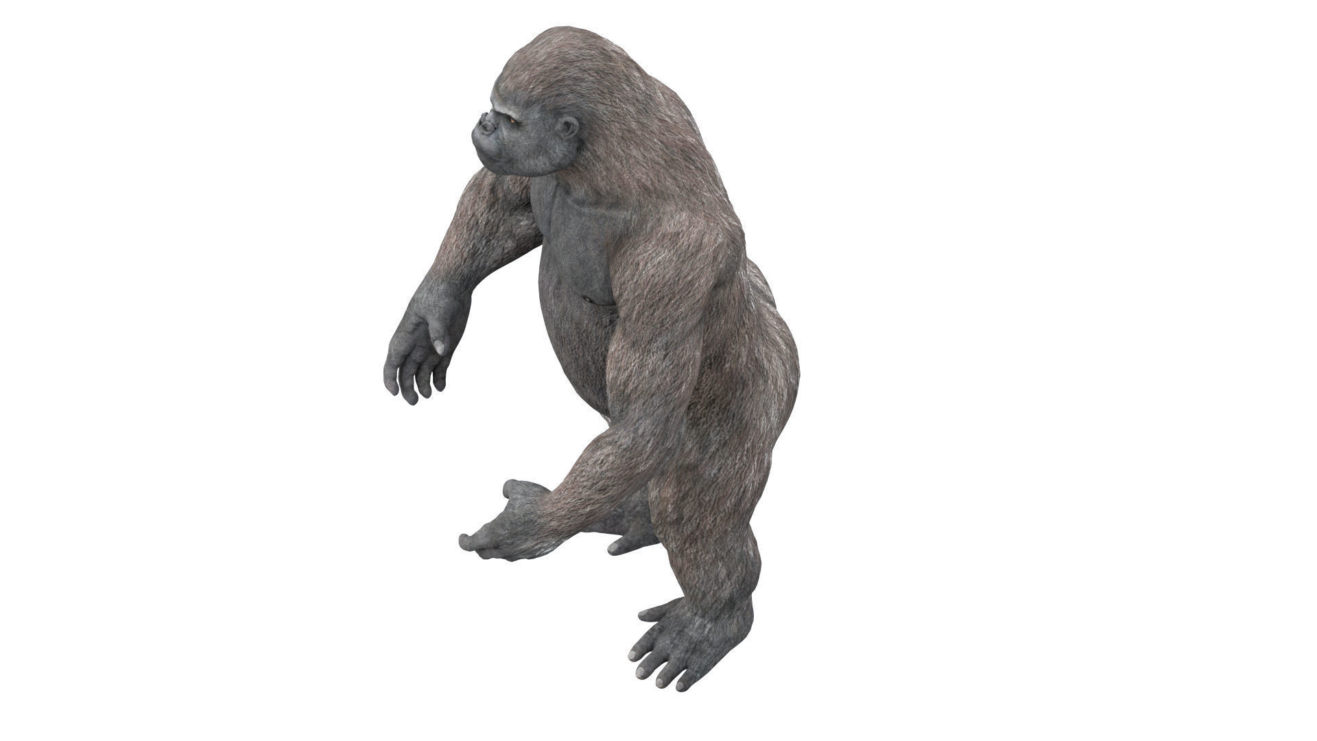 Gorilla 3D Model 3D model_23