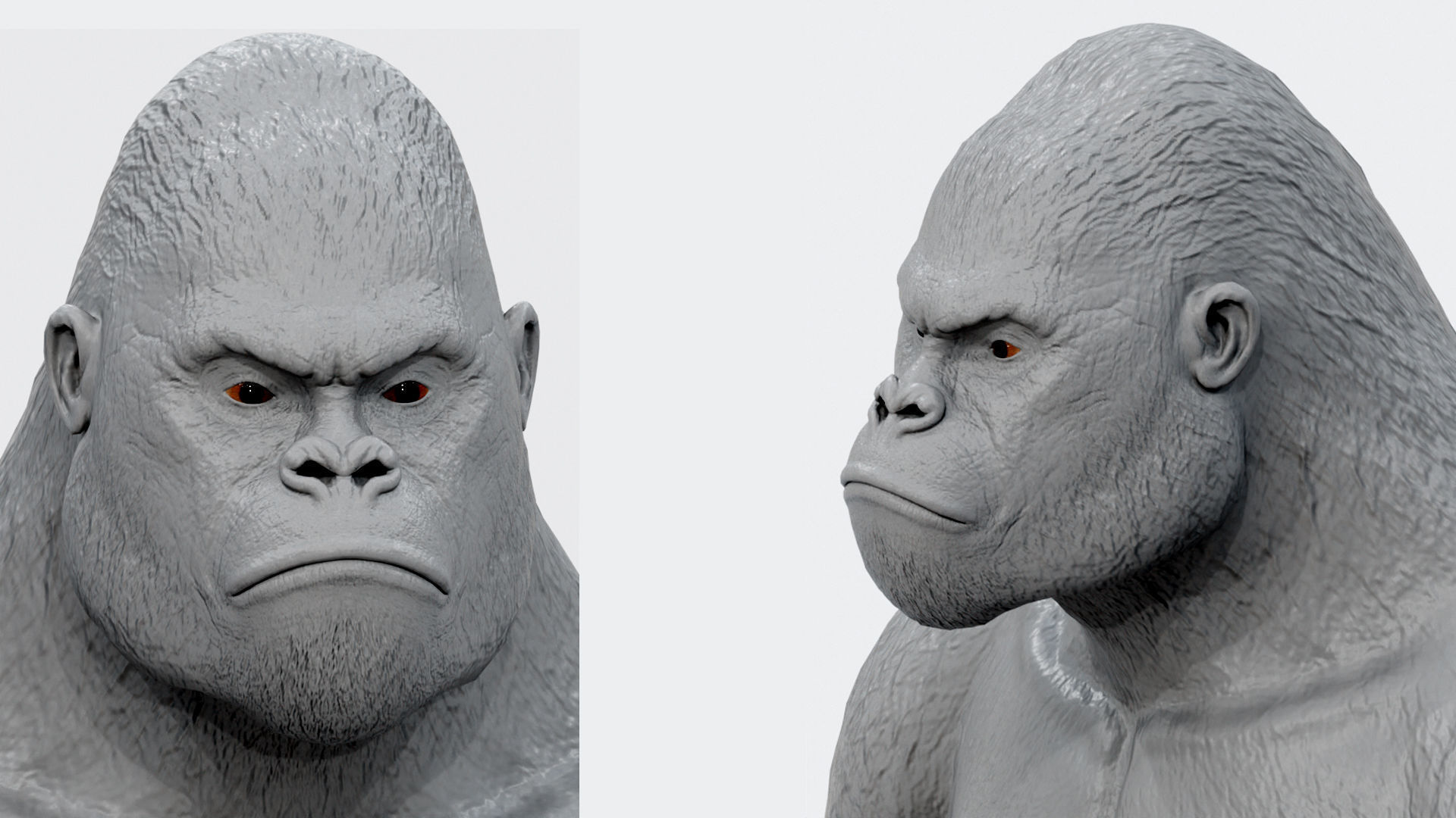 Gorilla 3D Model 3D model_14