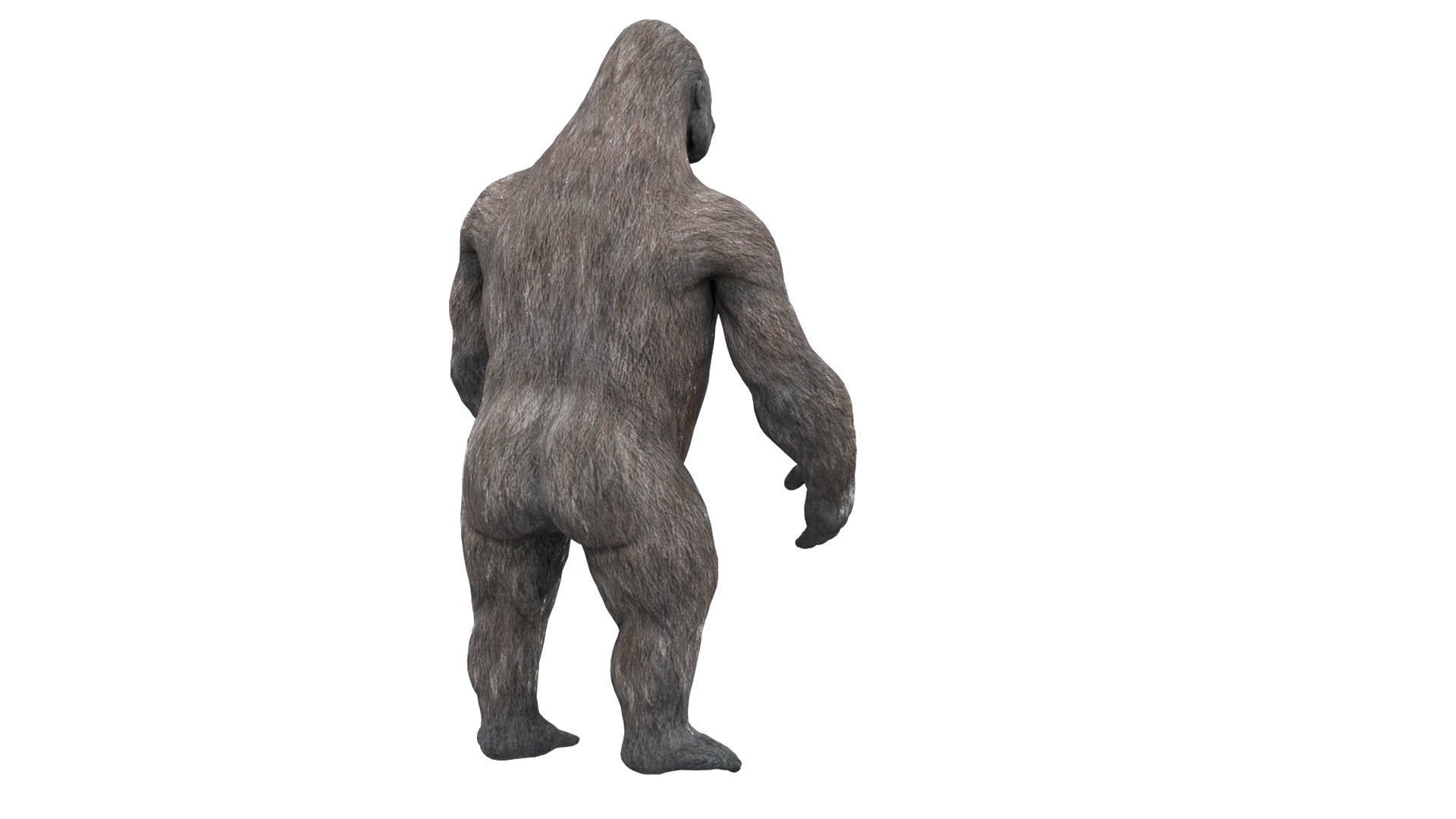 Gorilla 3D Model 3D model_19