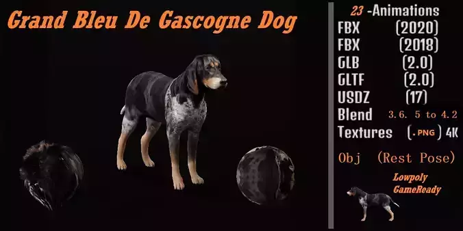 Grand Bleu De Gascogne Dog