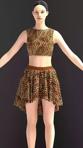 Crop Top and Frock in Cheetah print
