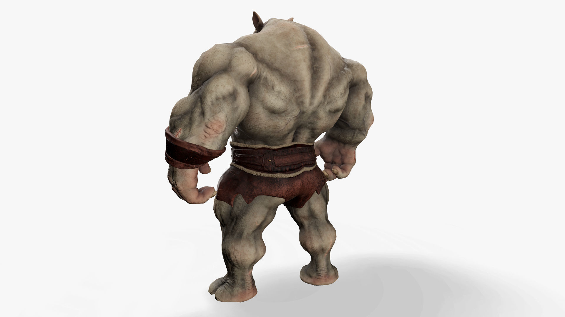 Heavy Warrior Rhino Low-poly 3D model_6