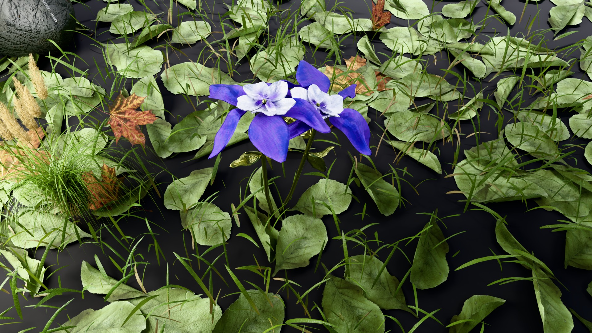 3D Blue-Columbine Flower FBX mode Low-poly 3D model_3