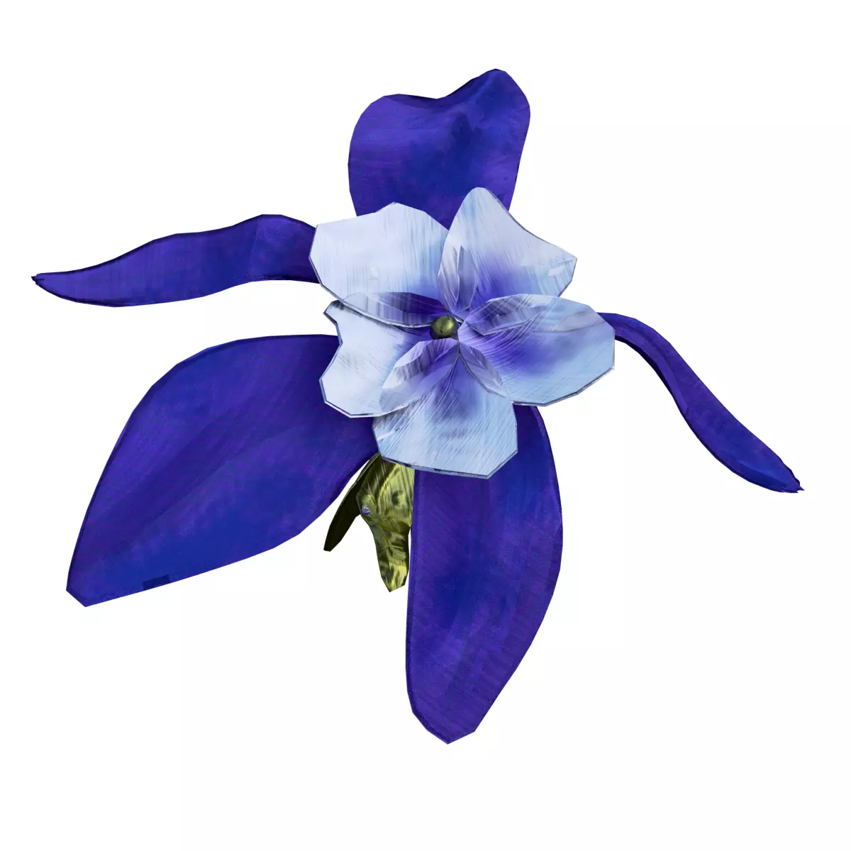 3D Blue-Columbine Flower FBX mode Low-poly 3D model_0