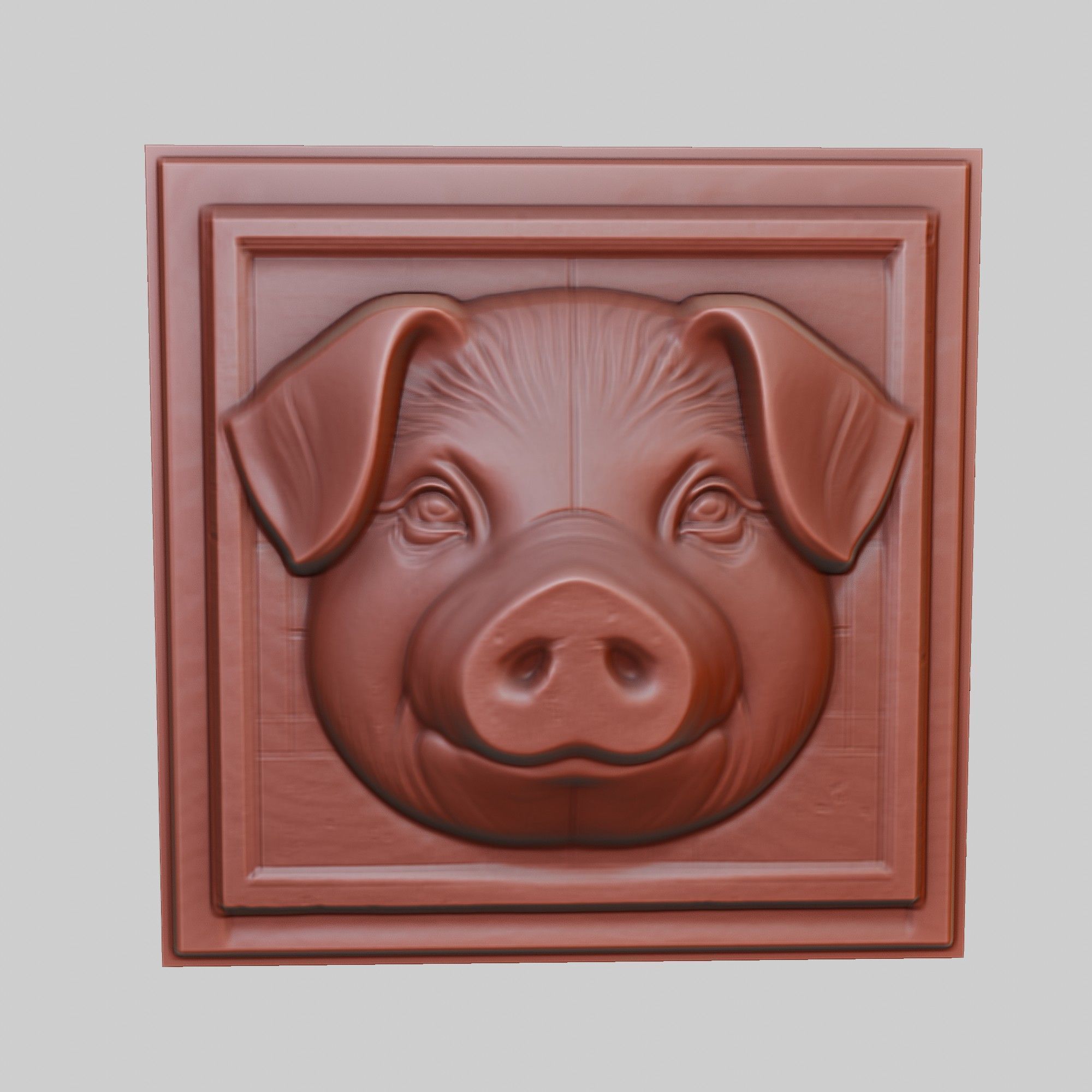 Boar Animal 3D print model_2
