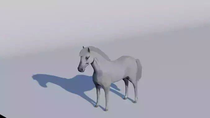 White Horse Low-poly 3D model