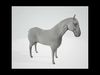 White Horse Low-poly 3D model_1