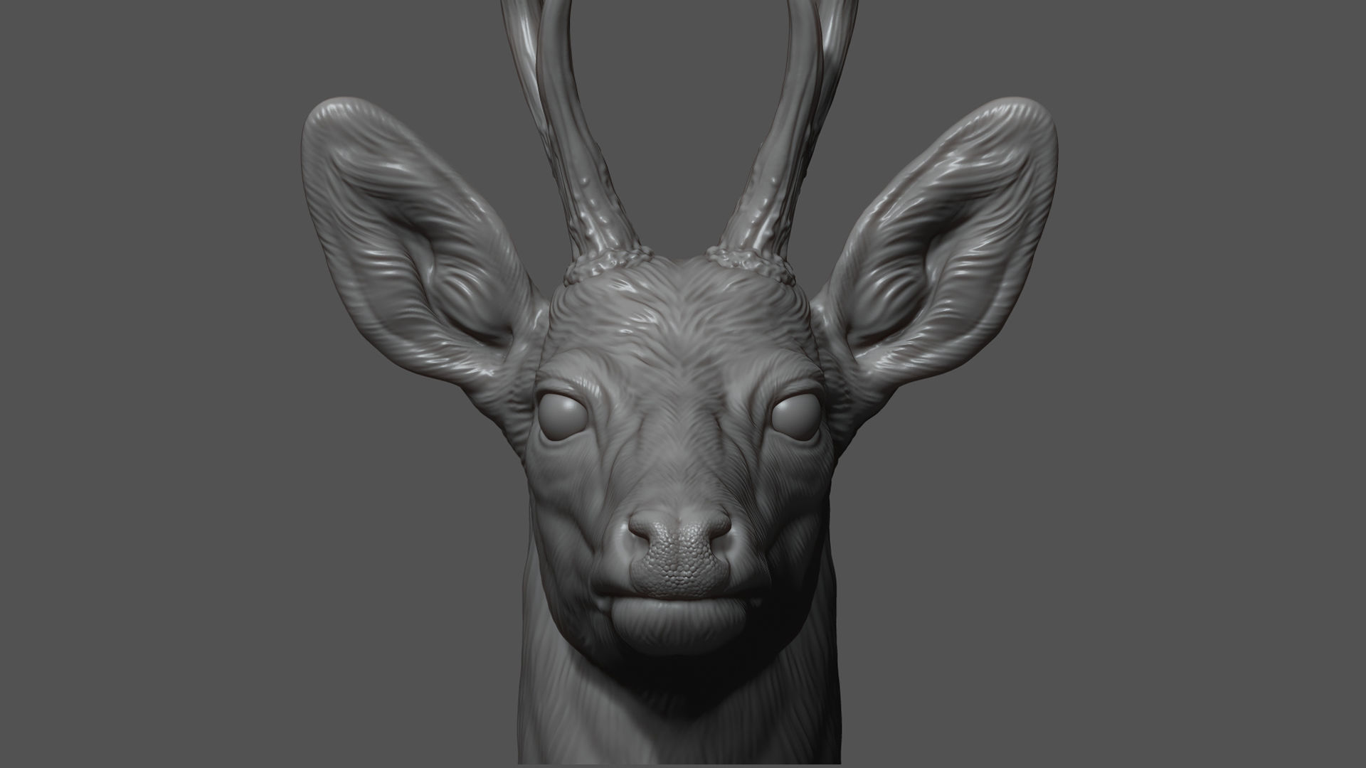 Roe deer bust 3D print model_3