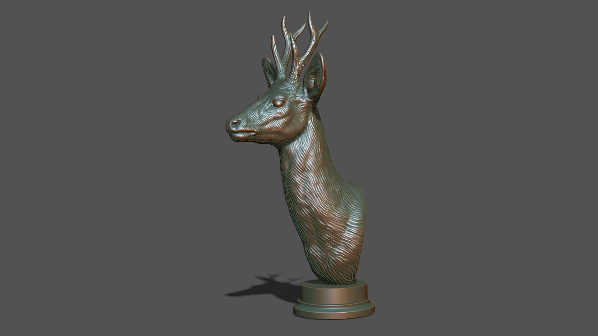 Roe deer bust 3D print model_22