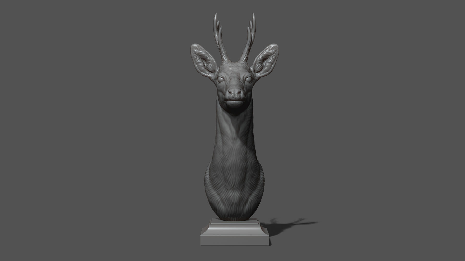 Roe deer bust 3D print model_12