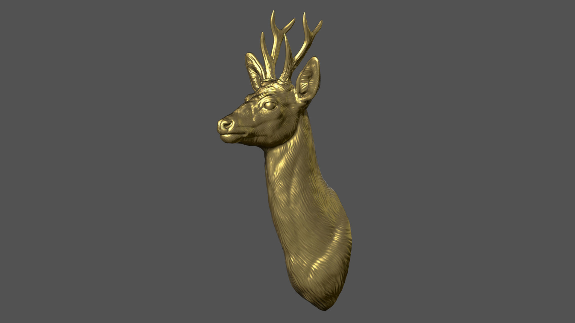 Roe deer bust 3D print model_10