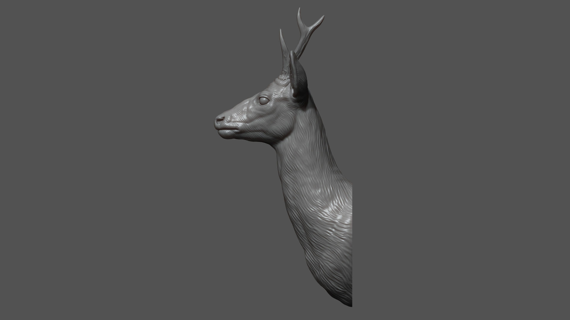 Roe deer bust 3D print model_8