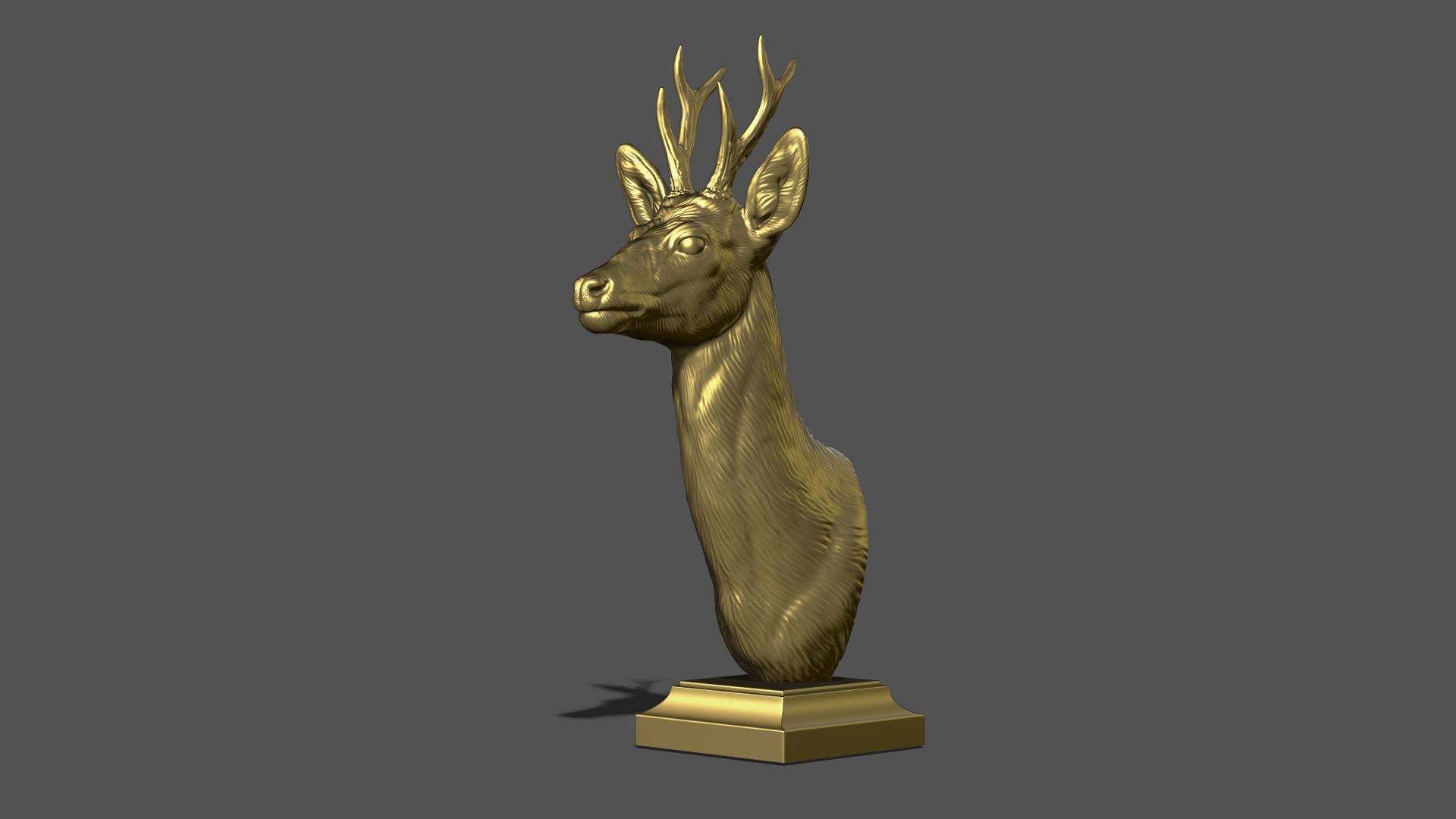 Roe deer bust 3D print model_16
