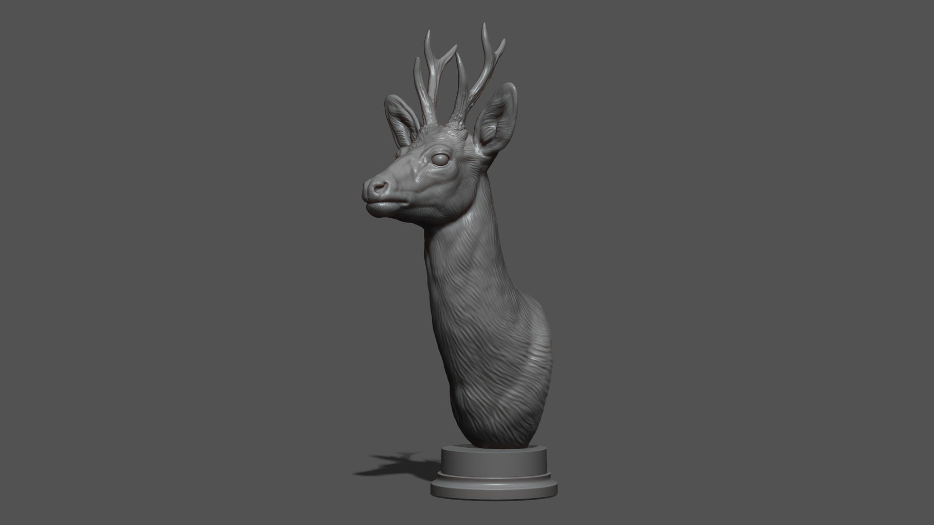 Roe deer bust 3D print model_18