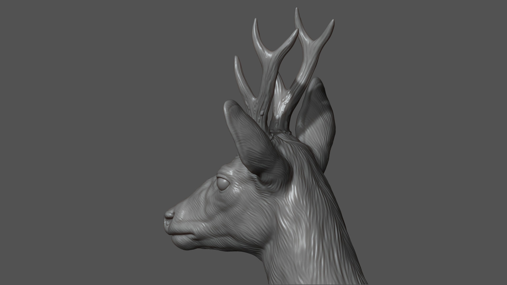 Roe deer bust 3D print model_4