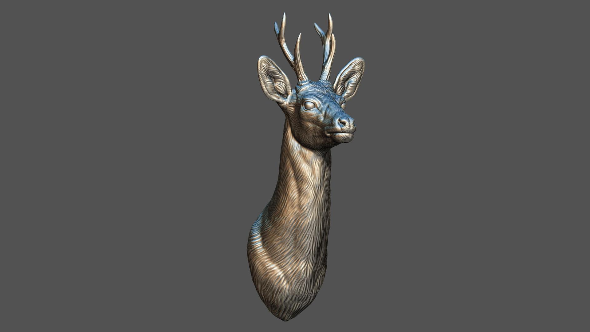 Roe deer bust 3D print model_11