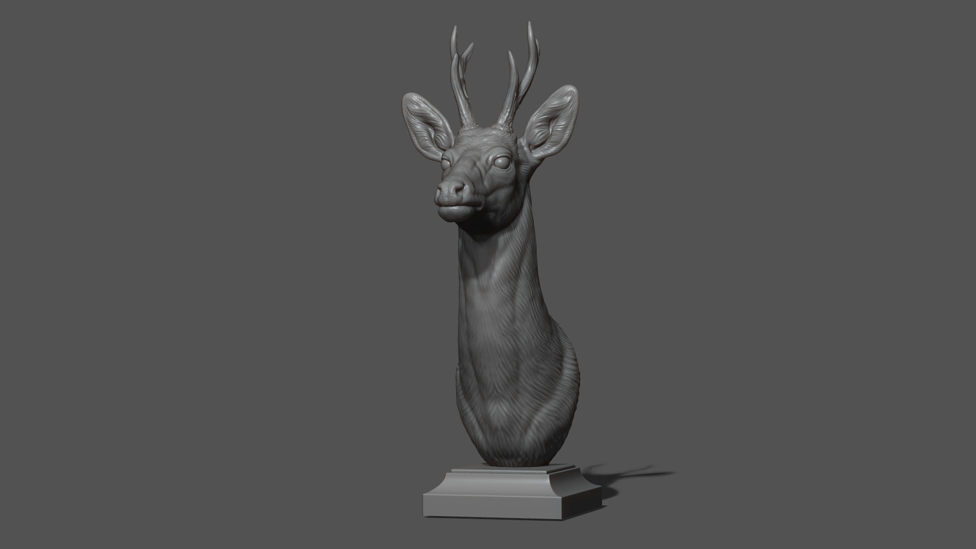 Roe deer bust 3D print model_14