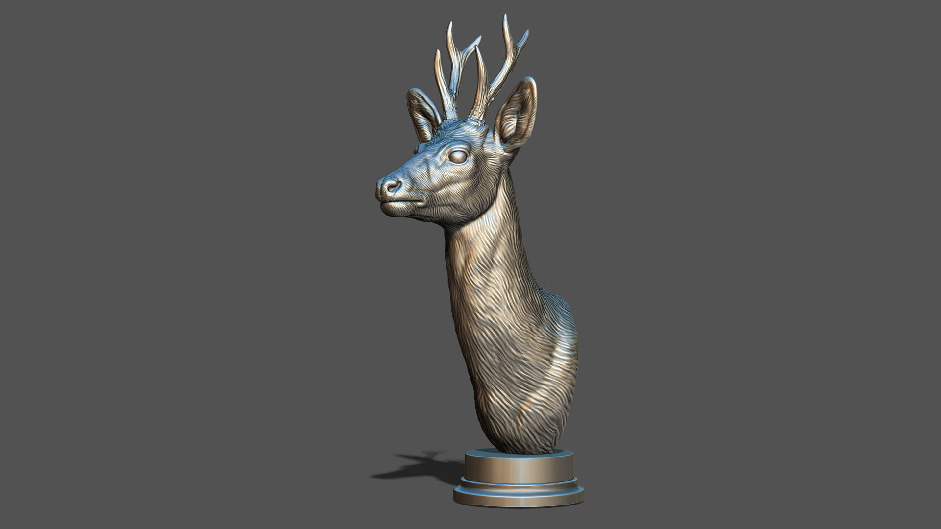 Roe deer bust 3D print model_21