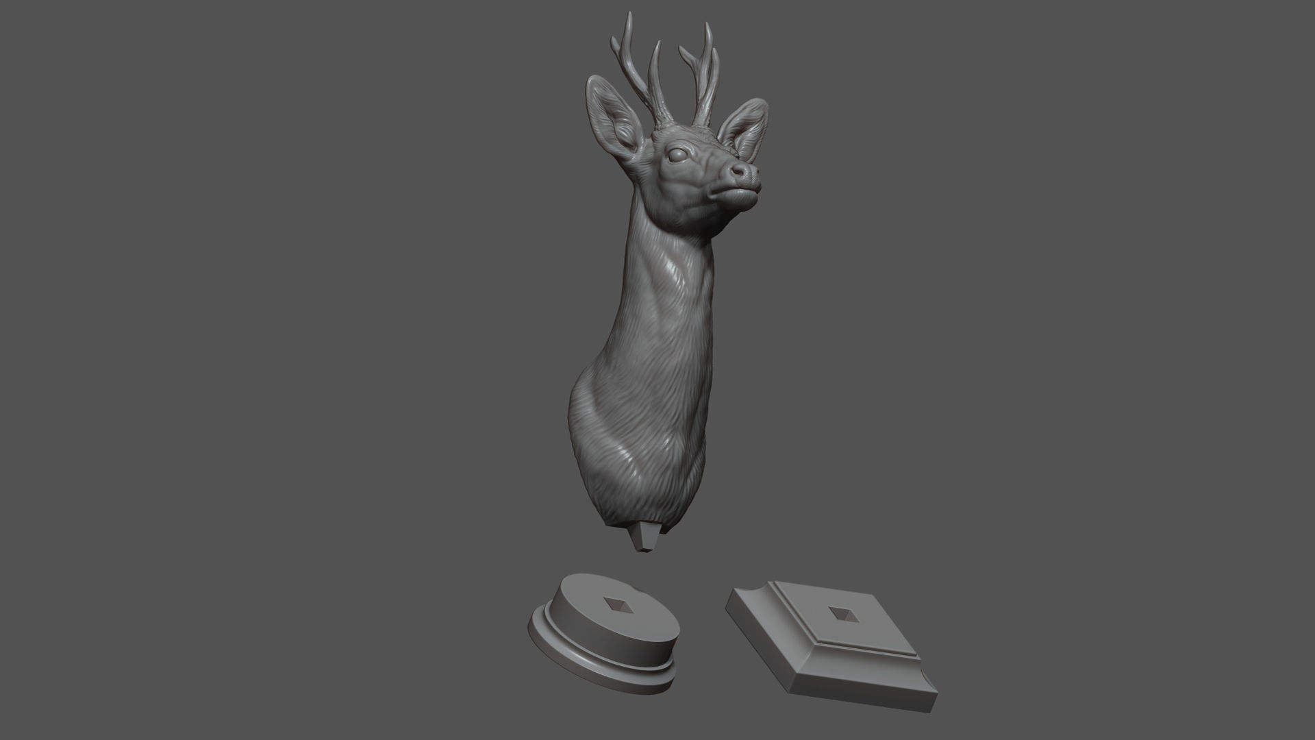 Roe deer bust 3D print model_23
