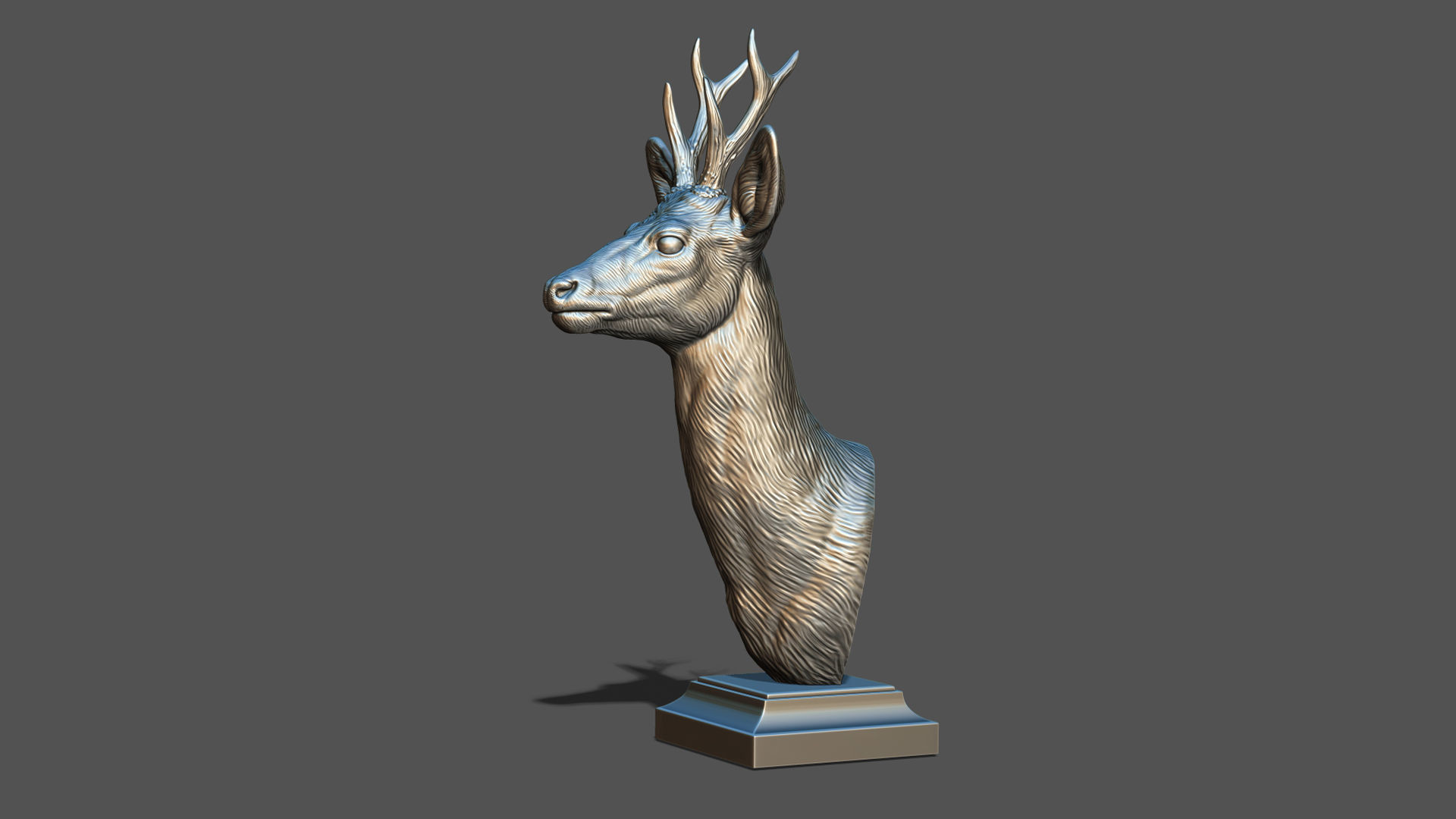Roe deer bust 3D print model_17