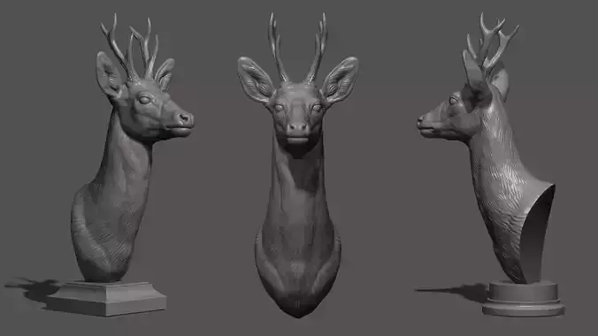 Roe deer bust 3D print model