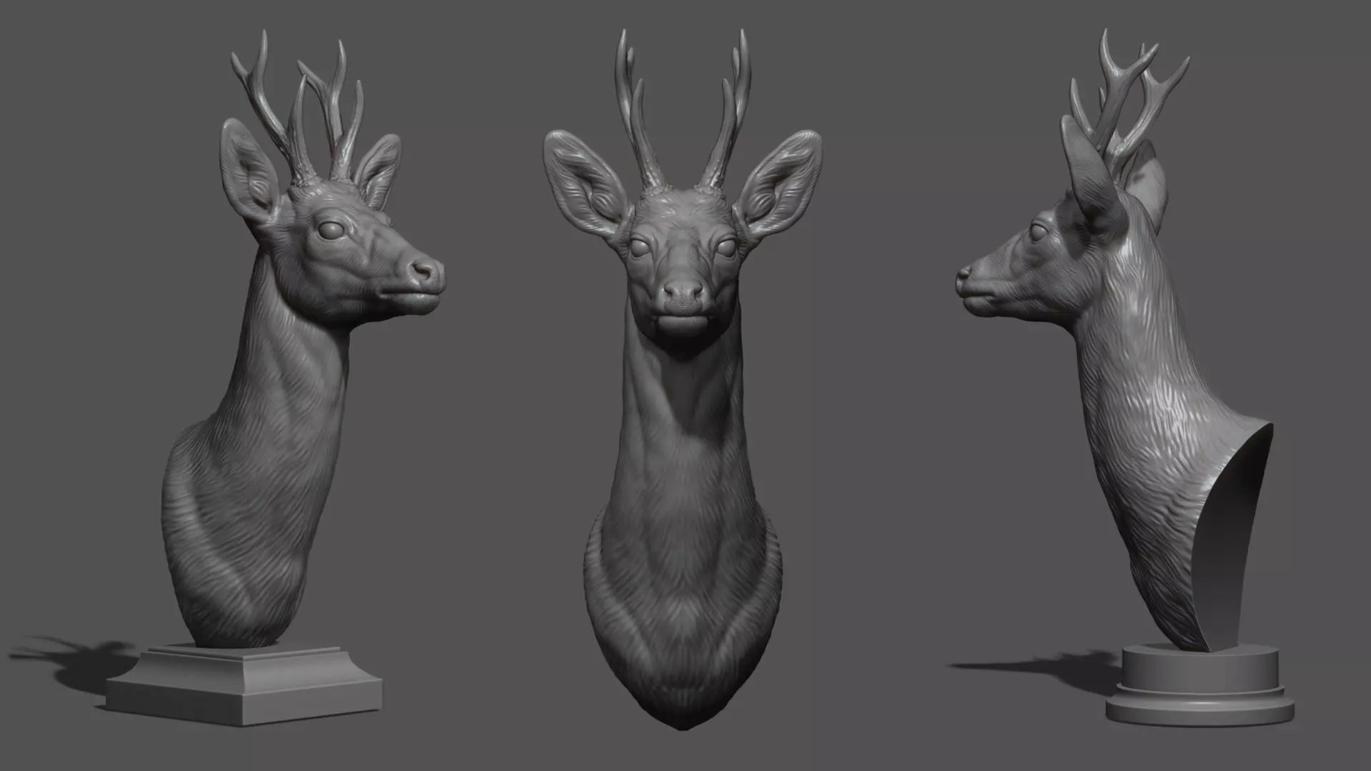 Roe deer bust 3D print model_0