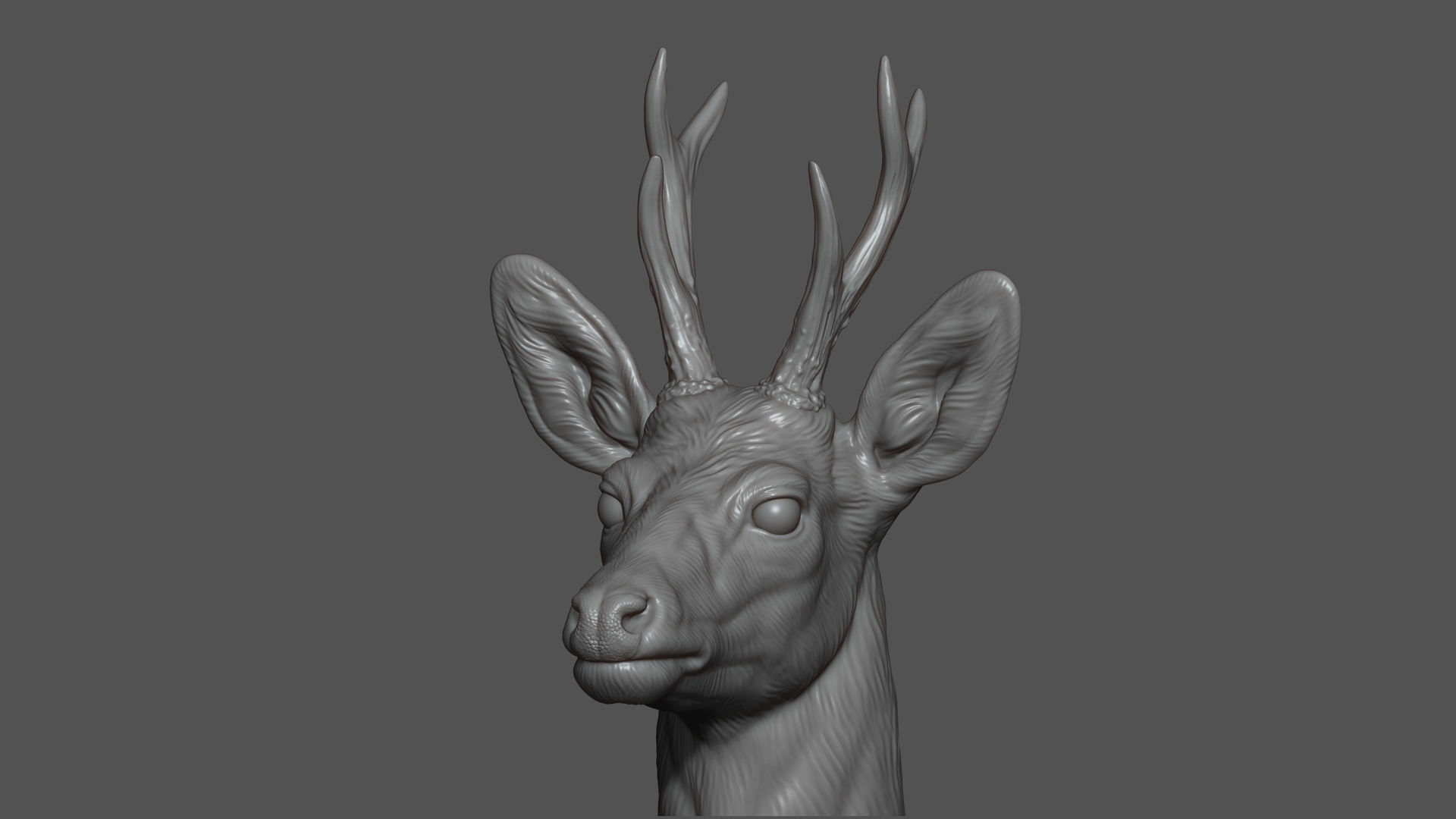 Roe deer bust 3D print model_2