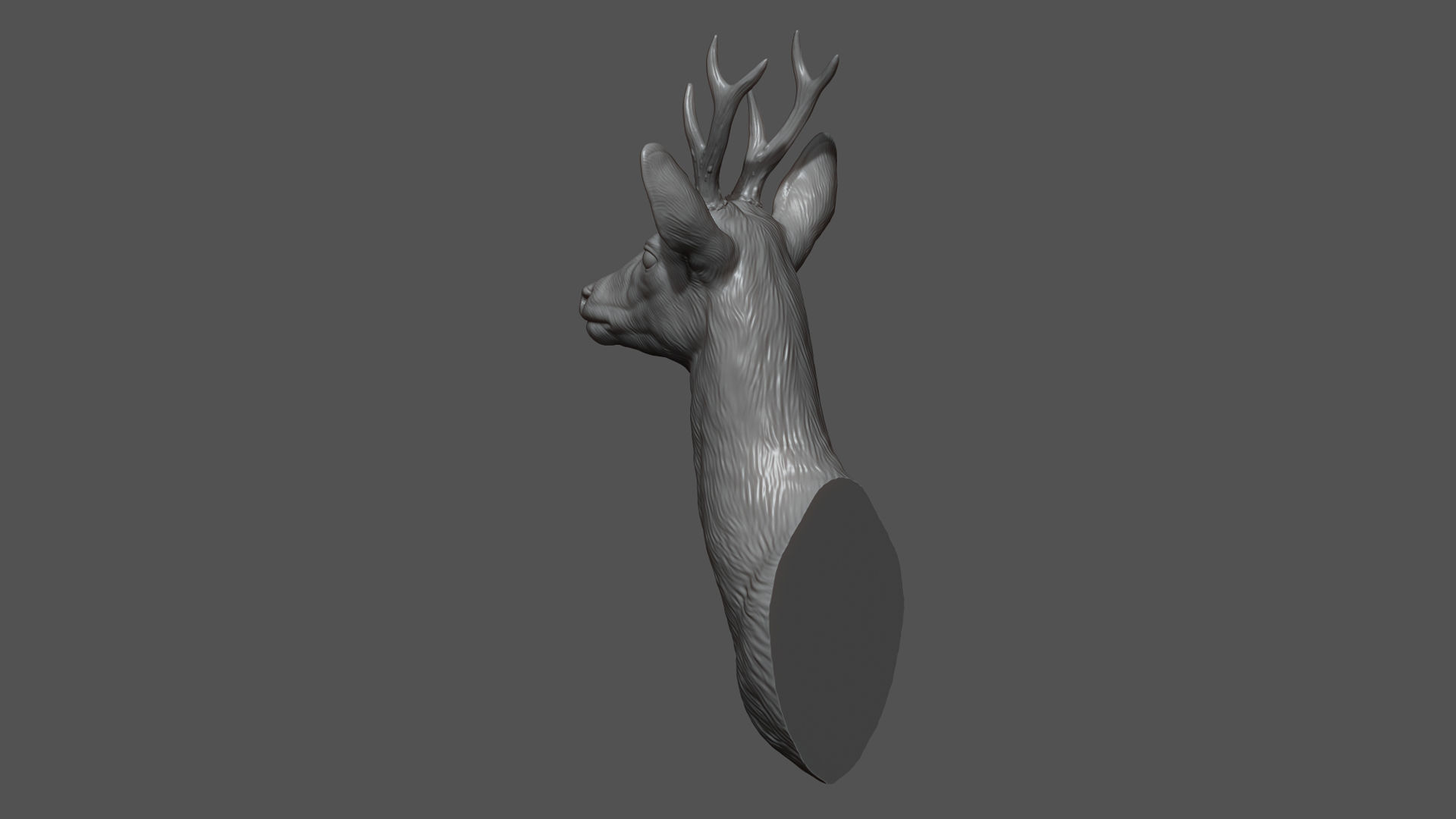 Roe deer bust 3D print model_6