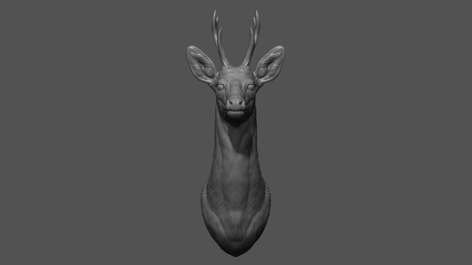 Roe deer bust 3D print model_7
