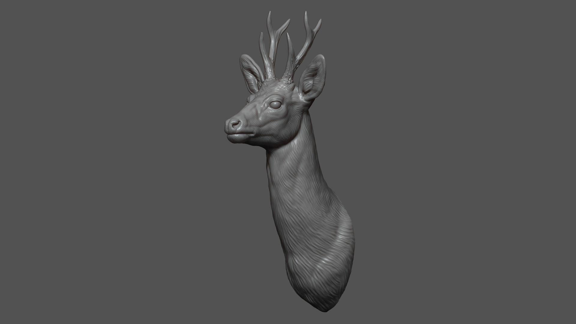 Roe deer bust 3D print model_5