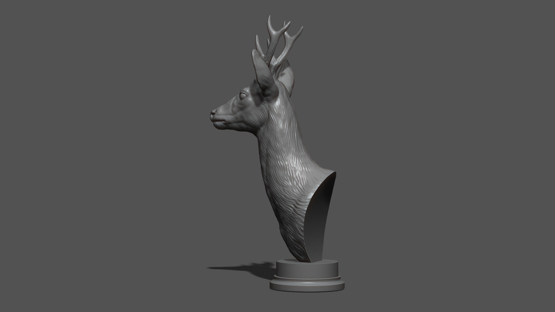 Roe deer bust 3D print model_19