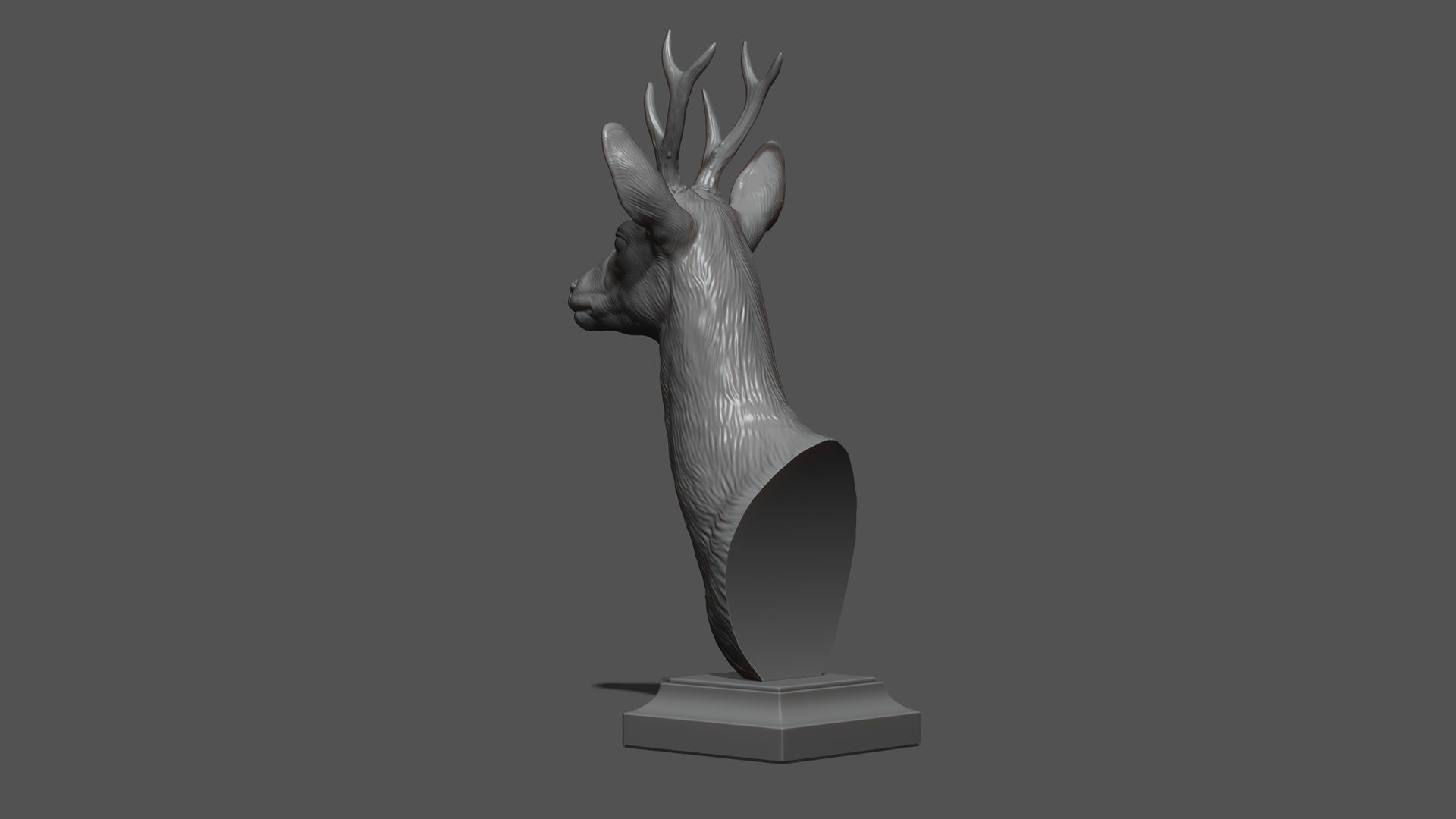 Roe deer bust 3D print model_13