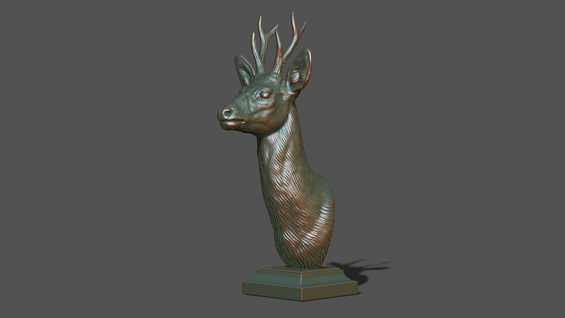 Roe deer bust 3D print model_15