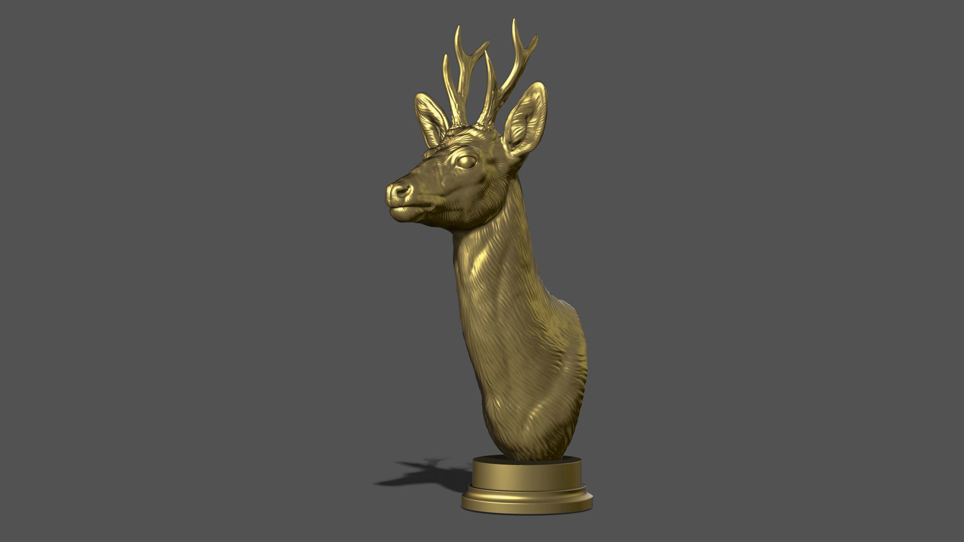 Roe deer bust 3D print model_20