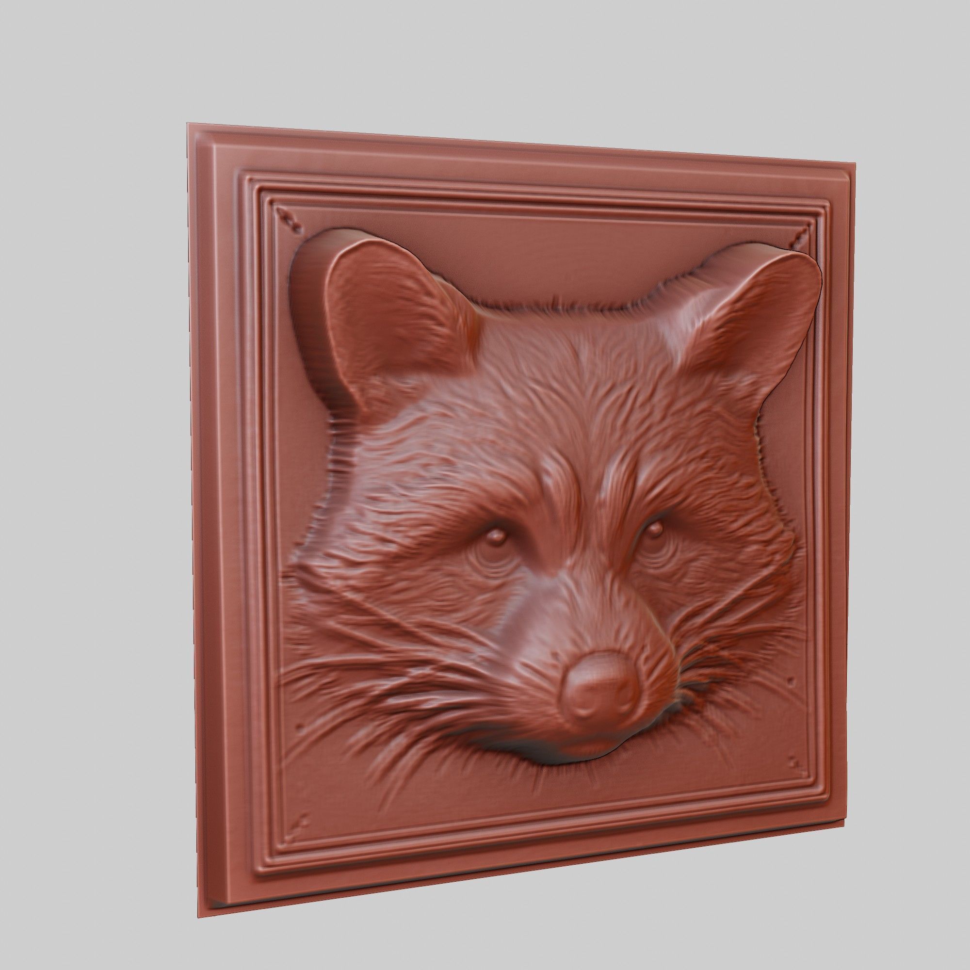 Raccoon Animal 3D print model_3