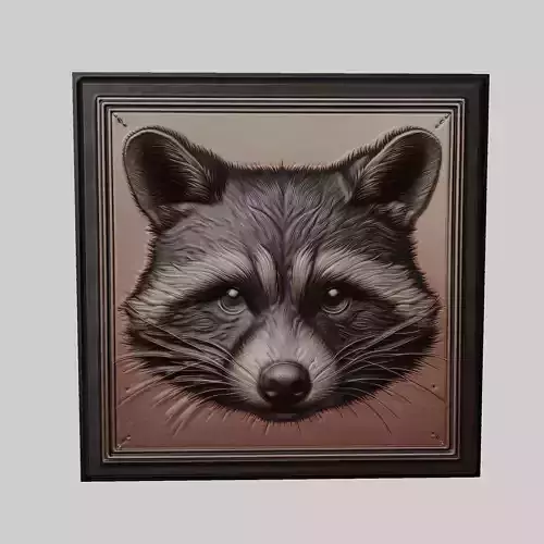 Raccoon Animal