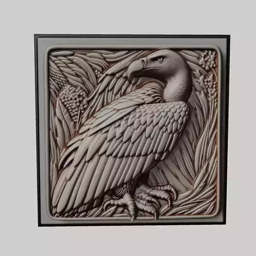 Vulture Animal