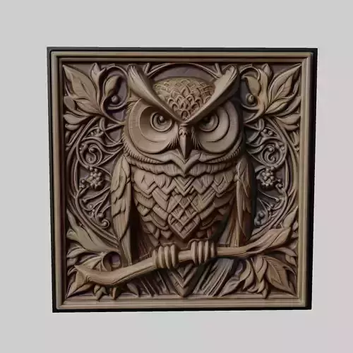 Owl Animal