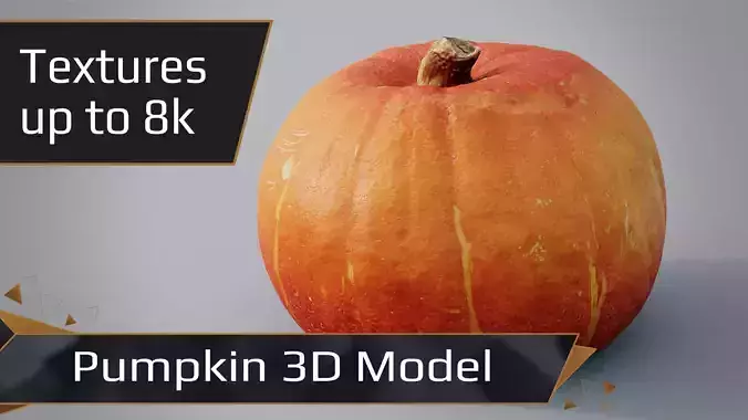 Pumpkin for Halloween - Squash 3D Model Low-poly 3D model