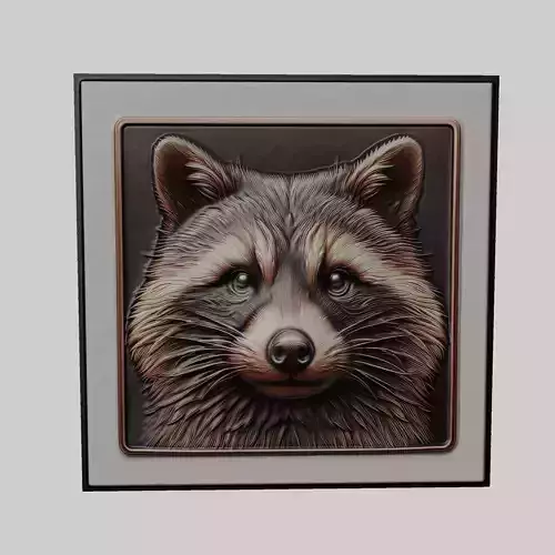 Raccoon Animal