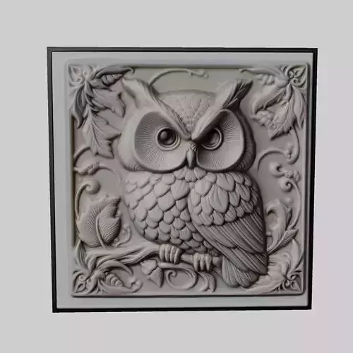 Owl Animal