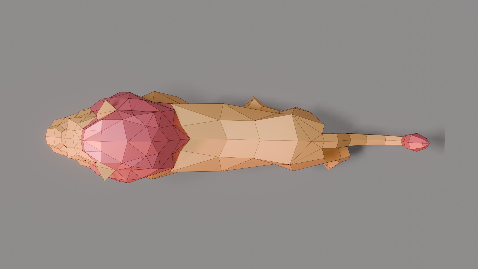 Polygonal Lion Low-poly 3D model_12
