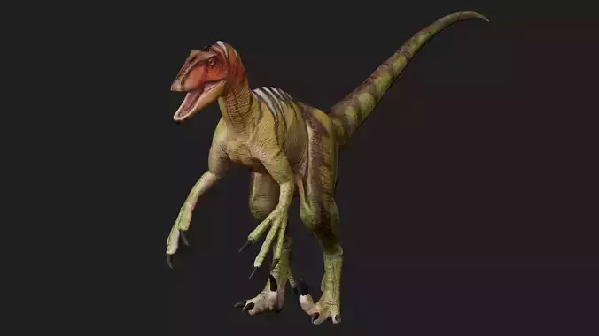 Velociraptor