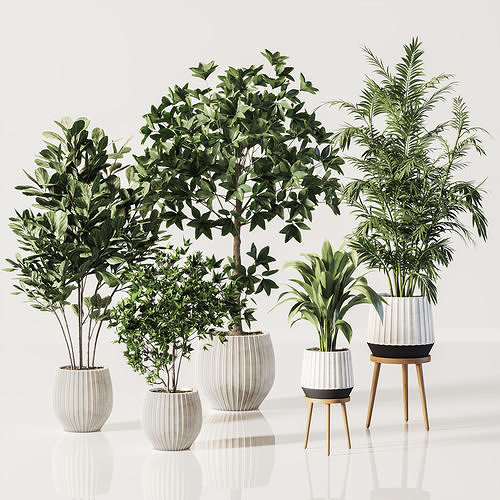  IndoorSetPlant058 3D model