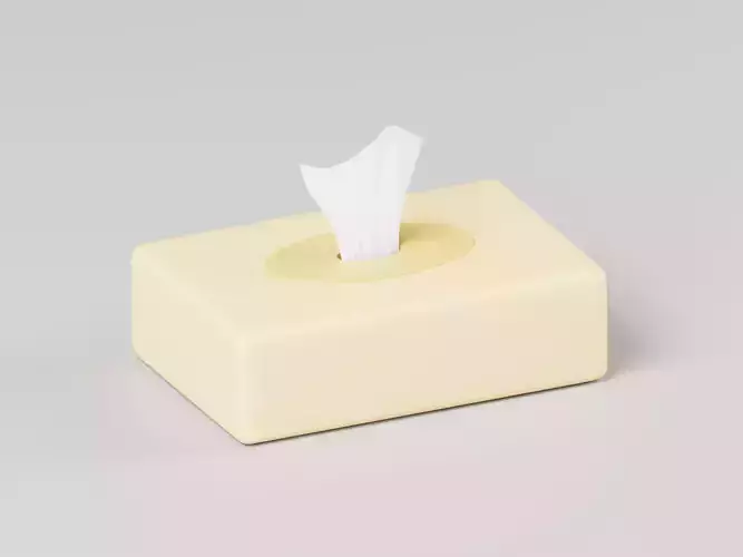 Rectangular Tissue Box 3D Model