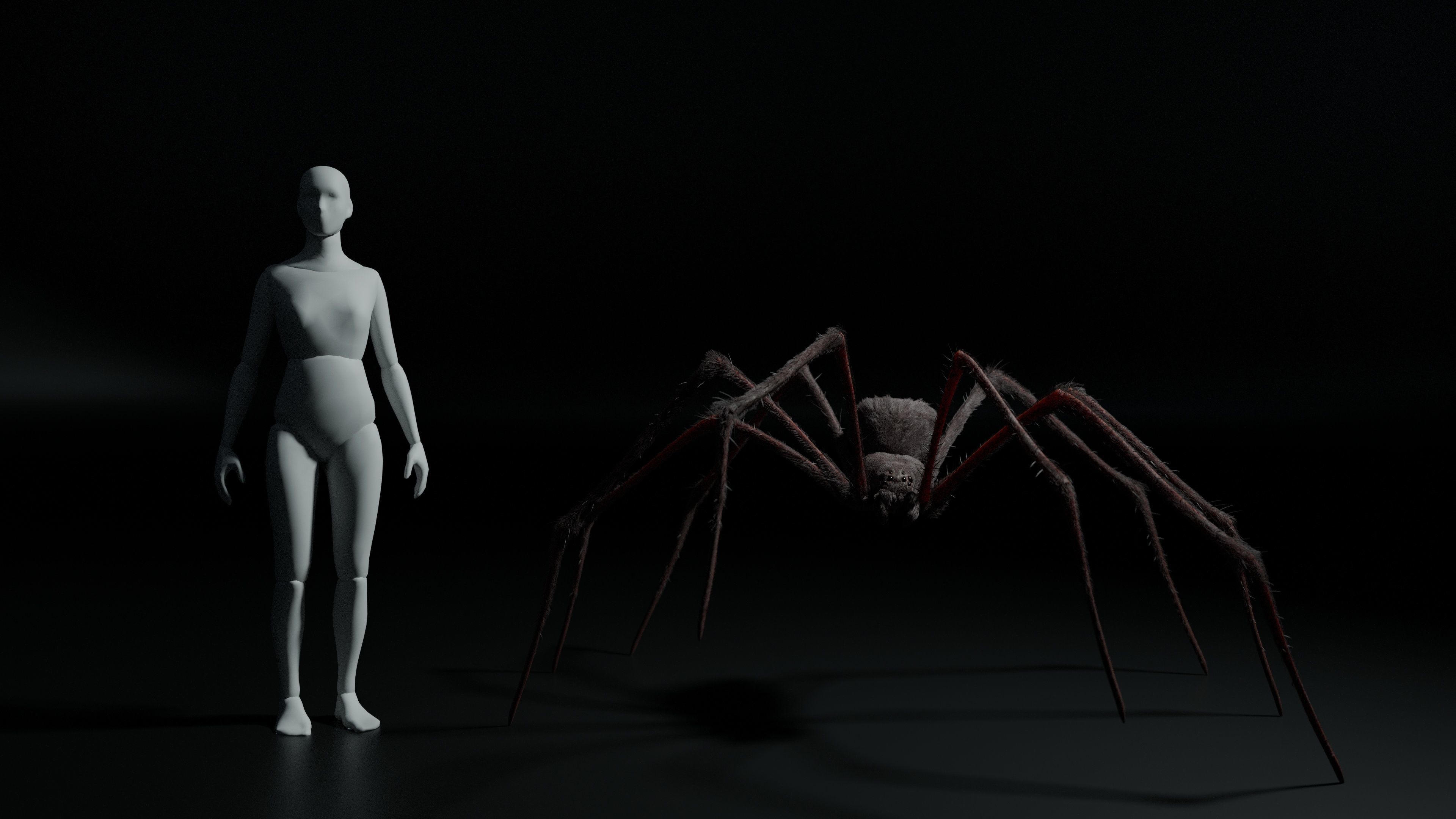 Giant Spider 3D model_8
