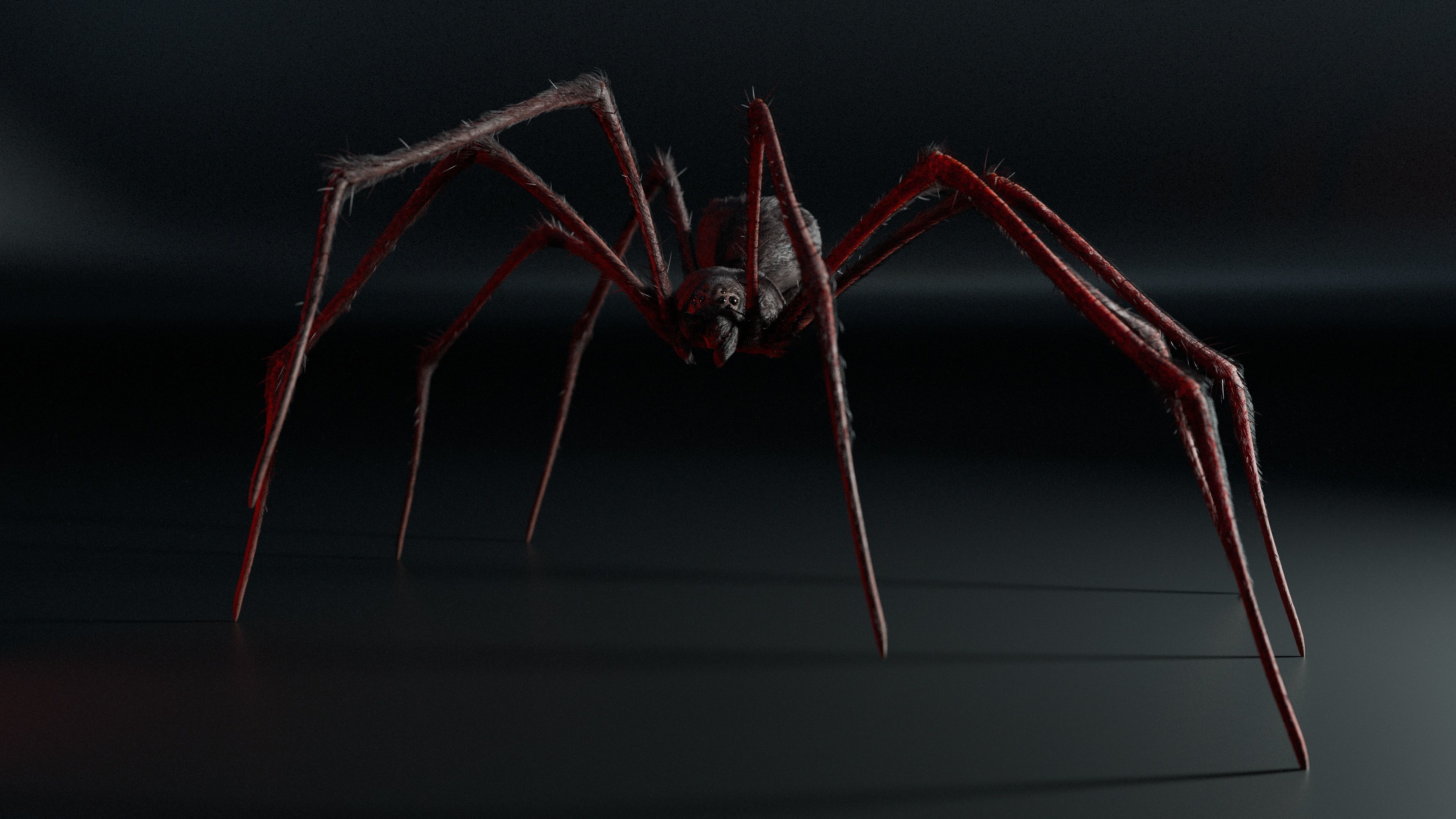 Giant Spider 3D model_2
