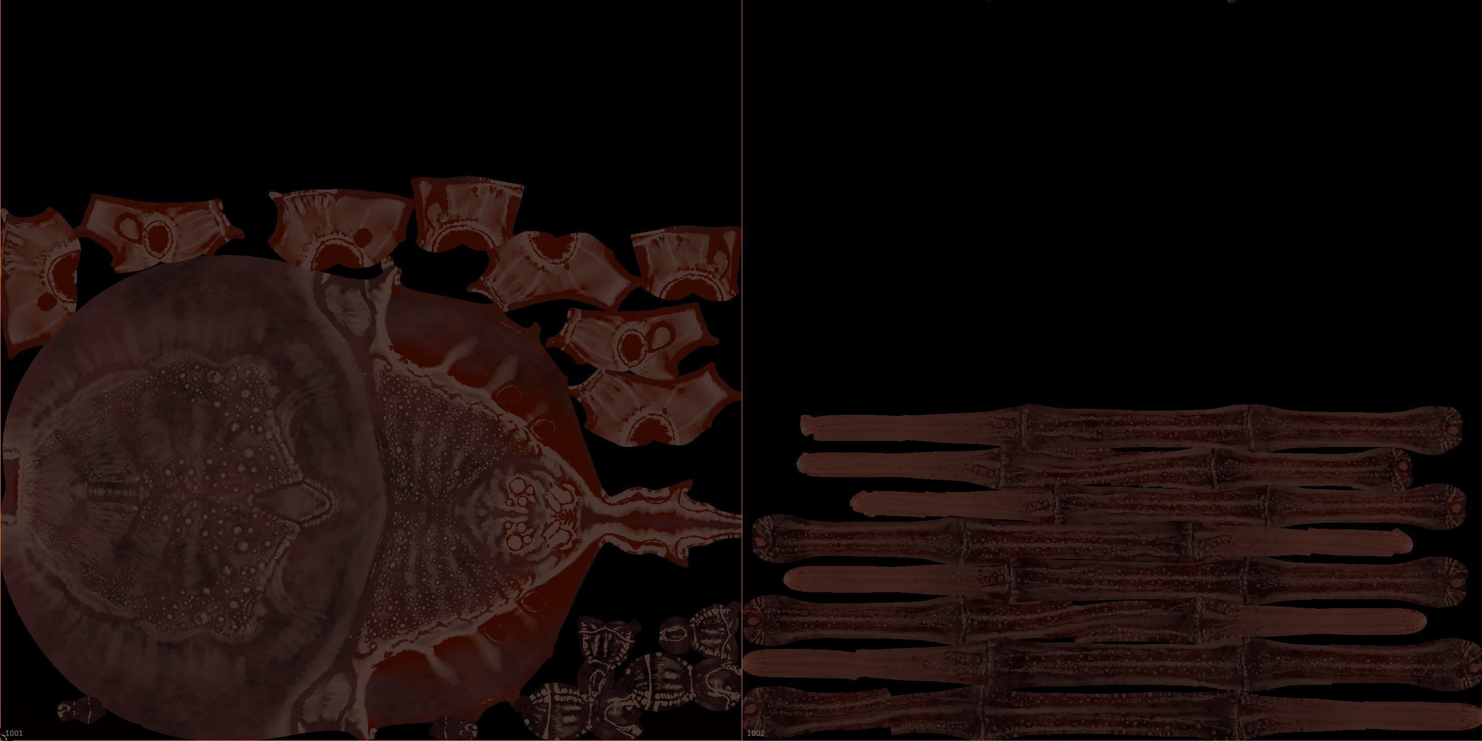 Giant Spider 3D model_13