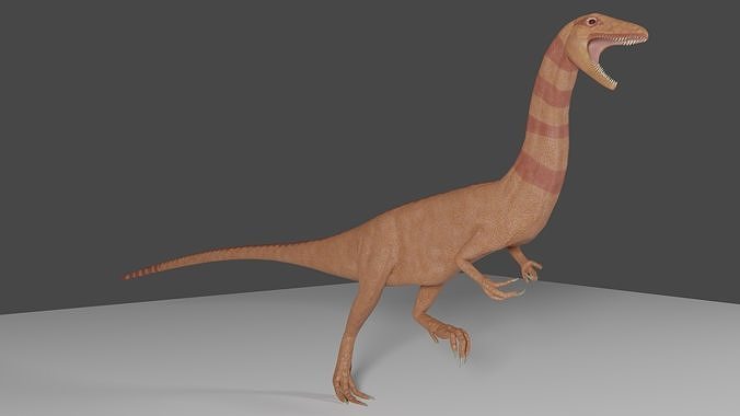 Coelophysis Low-poly 3D model
