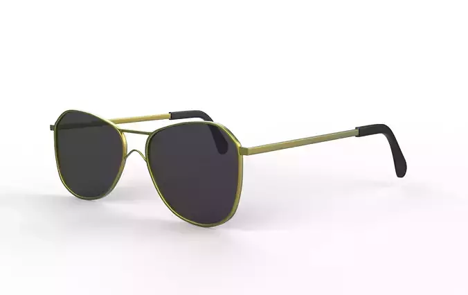 Modern Lifestyle Aviator  3D model